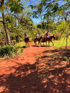 Cabalgata
