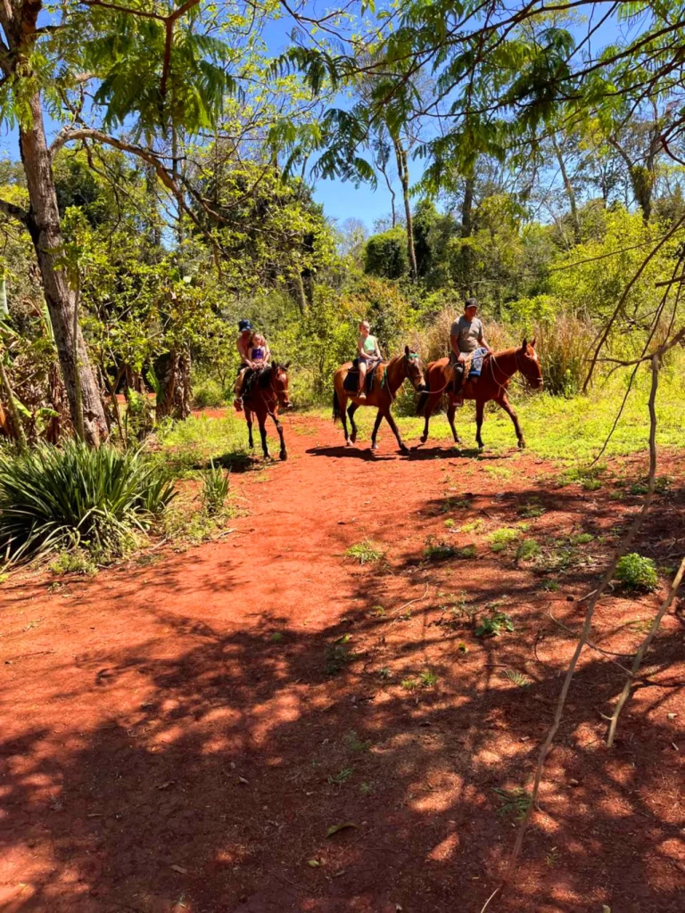 Cabalgata