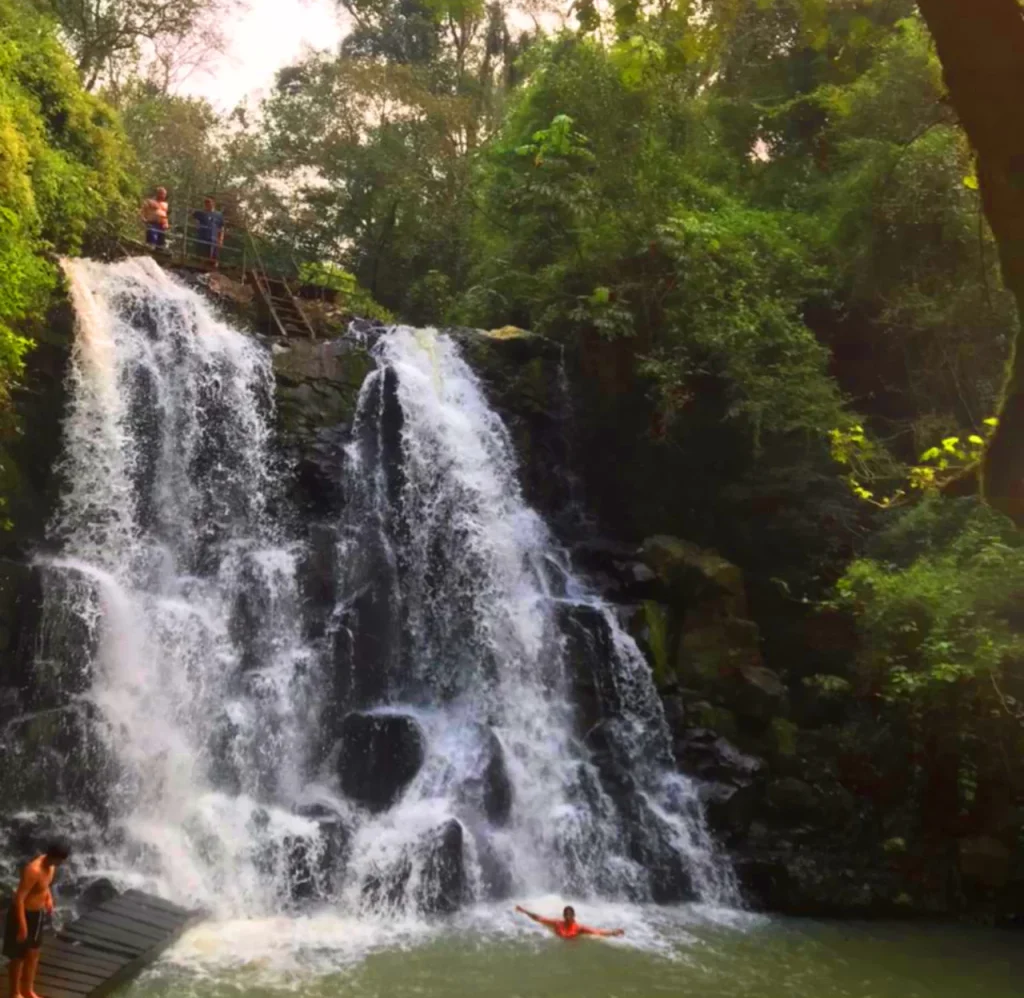 Salto mbocai