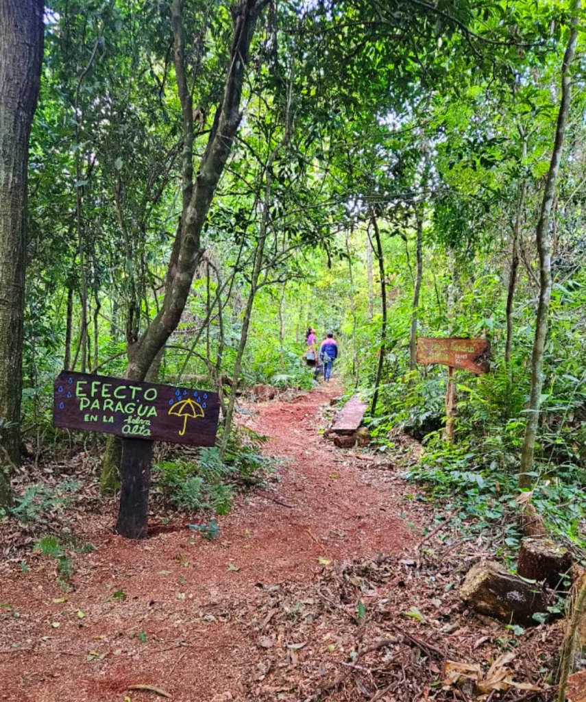 Senderos por la selva