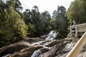 Bariloche turismo excursiones lacustres